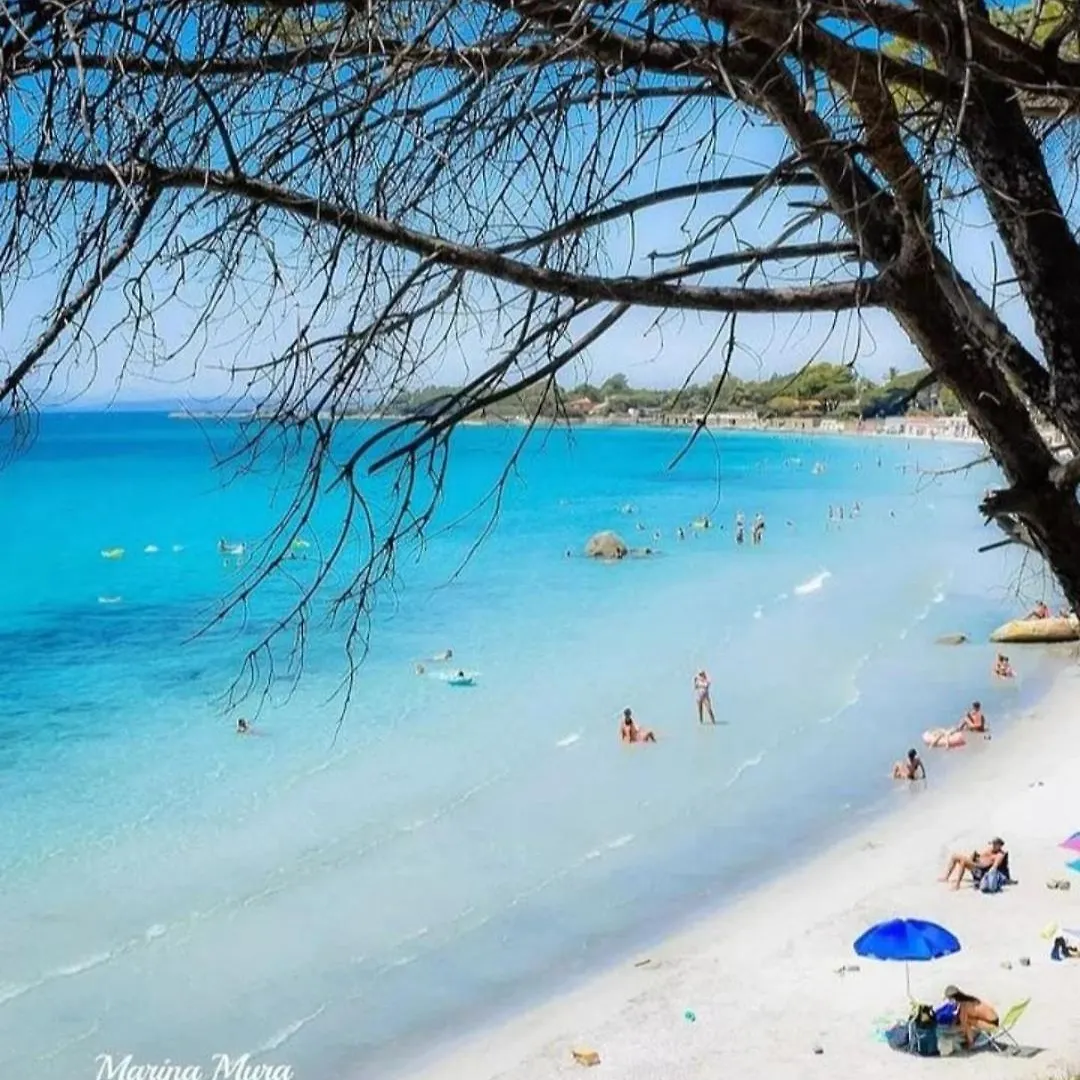 펜션 Villa Fronte Mare Terra Mala 이탈리아